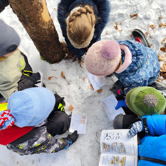 Eine Gruppe von Kindern in Winterkleidung studiert einen Baum und Blätter in einem verschneiten Gebiet. Sie sitzen im Kreis und haben Papiere mit Zeichnungen.