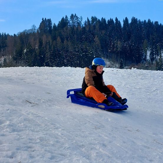 Ein junger Junge mit Helm sitzt auf einem blauen Schlitten und gleitet einen schneebedeckten Hügel hinunter. Im Hintergrund stehen Bäume, und der Himmel ist klar.