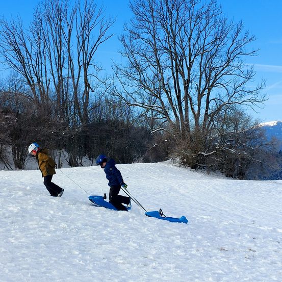 Zwei Kinder rodeln einen schneebedeckten Hügel hinunter, eines hinter dem anderen, mit Helmen und Handschuhen. Sie ziehen einen blauen Schlitten mit einem Griff, vor dem Hintergrund von Bäumen und Bergen.