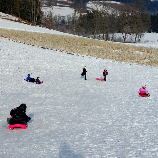 Mehrere Kinder rodeln einen schneebedeckten Hügel hinunter. Ein Kind trägt einen rosa Helm und ein anderes Kind trägt einen blauen Helm. Einige Kinder gehen, während andere auf ihren Schlitten sitzen.