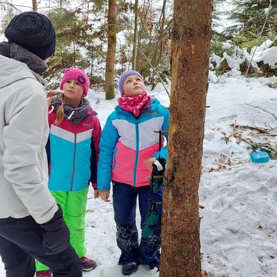 Ein Mann und zwei Kinder stehen in einem verschneiten Wald, einer untersucht einen Baumstamm mit einem Stock.