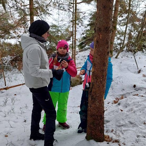 Drei Menschen, ein Erwachsener und zwei Kinder, befinden sich in einem verschneiten Wald und untersuchen einen Baumstamm. Der Erwachsene trägt eine graue Jacke und schwarze Hose. Die Kinder sind in farbenfrohen Jacken, eines mit einem rosa Hut.