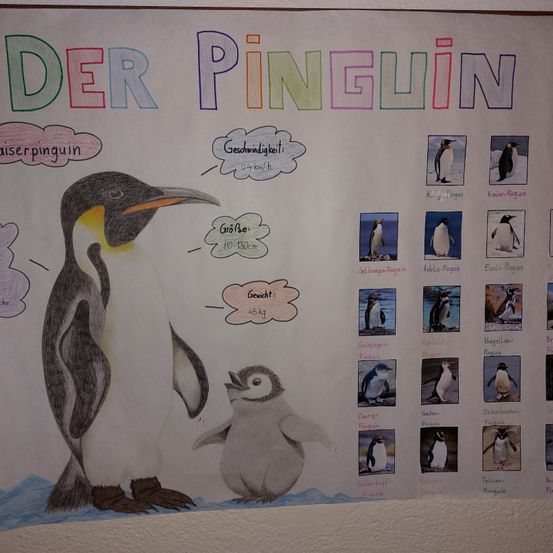 Poster mit Pinguin-Zeichnungen. Eine Pinguinfamilie ist auf der linken Seite. Andere Pinguine sind in der Mitte und rechts. Informationen über die Pinguine sind geschrieben.