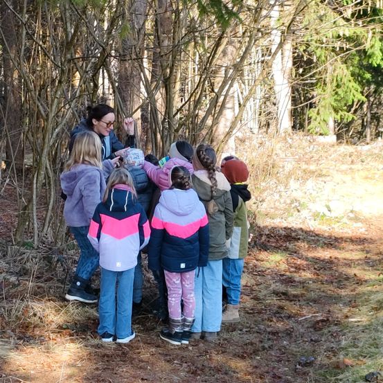 Eine Frau steht in einem bewaldeten Gebiet mit einer Gruppe von Kindern und führt wahrscheinlich eine Bildungsaktivität durch. Die Kinder sind aufmerksam um sie herum versammelt, einige tragen Jacken und Stiefel. Der Ort ist ein Wald mit kahlen Bäumen und einer Mischung aus Sonnenlicht und Schatten.