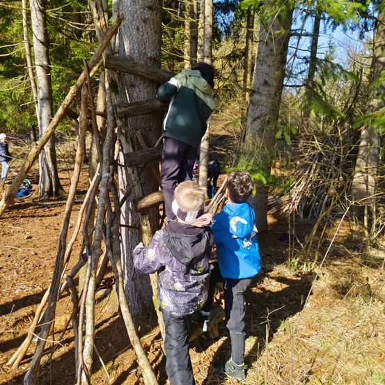 Mehrere Kinder sind in einem Wald und klettern auf eine selbstgebaute Leiter aus Ästen. Zwei Kinder stehen am Boden und beobachten.