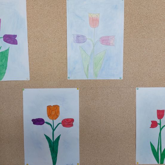 Fünf Tulpenbilder hängen an einer braunen Korkplatte. Jedes Bild zeigt verschiedenfarbige Tulpen mit grünen Blättern auf blauem Hintergrund.