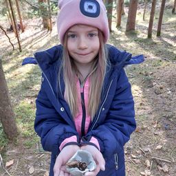 Ein junges Mädchen in einem blauen Mantel und einer rosa Mütze posiert im Wald und hält einen kleinen grauen Stein und ein Stück Holz in den Händen.