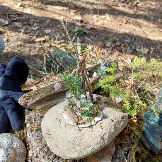 Ein Felsbrocken mit einem kleinen Kiefernbaum und Moos darauf, umgeben von Stöcken und trockenen Blättern.