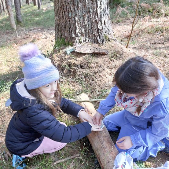 Zwei junge Mädchen sitzen auf einem Baumstamm im Wald. Eine hält ein Objekt, während die andere beobachtet. Sie sind von einem Baumstamm und moosbedecktem Boden umgeben.