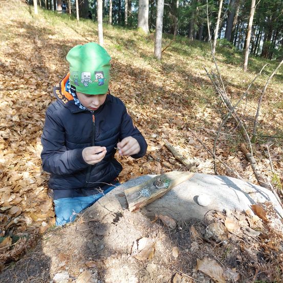 Ein Junge mit grüner Mütze und Jacke sitzt auf einem Felsen im Wald und betrachtet etwas.