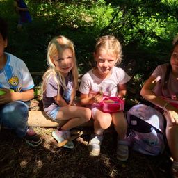 Vier Kinder sitzen auf einem Baumstrunk im Wald. Zwei Mädchen haben Snacks in den Händen. Ein Junge hält einen Apfel. Dahinter sind mehr Pflanzen und Bäume.