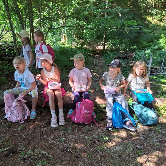 Eine Gruppe junger Mädchen sitzt auf einem Baumstumpf im Wald. Sie tragen Hüte und Rucksäcke und essen. Die Sonne scheint auf den Boden.