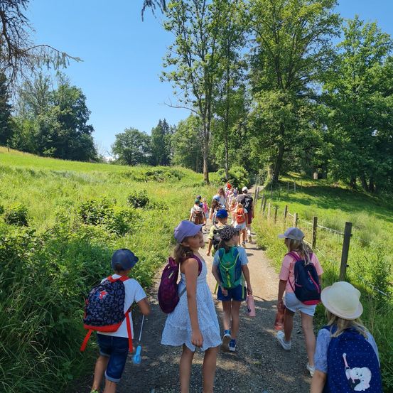 Eine Gruppe von Kindern mit Rucksäcken geht einen Schotterweg durch ein Grasfeld. Hohe Bäume säumen die Seiten, und der Himmel ist klar.