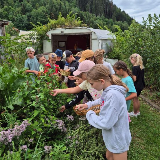 Eine Gruppe von Kindern in einem Garten, einige pflücken Pflanzen, mit einem Wohnwagen im Hintergrund und einer hügeligen Landschaft.