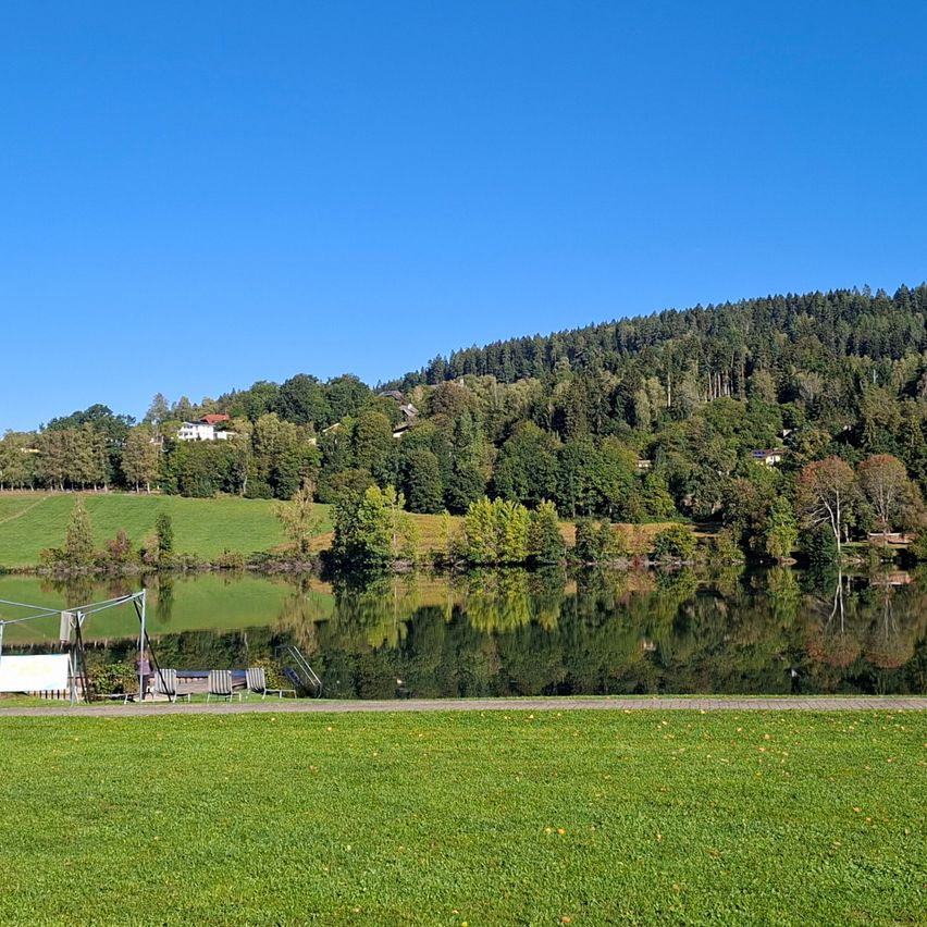 Ein ruhiger See umgeben von üppigem Grün und einem Haus am Hang unter einem klaren blauen Himmel.