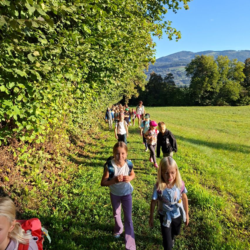 Eine Gruppe von Kindern läuft auf einem Grasfeld, wahrscheinlich auf einer Schulfahrt. Sie tragen Rucksäcke und einige tragen Mützen. Das Feld ist von Bäumen und Büschen umgeben. In der Ferne gibt es Berge und einen klaren blauen Himmel.