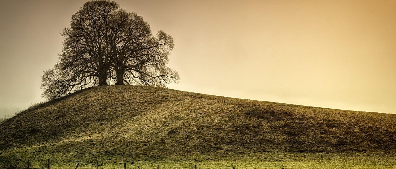 Ein Hügel mit einigen Bäumen und einem Zaun auf der linken Seite, der Himmel ist klar und grau.