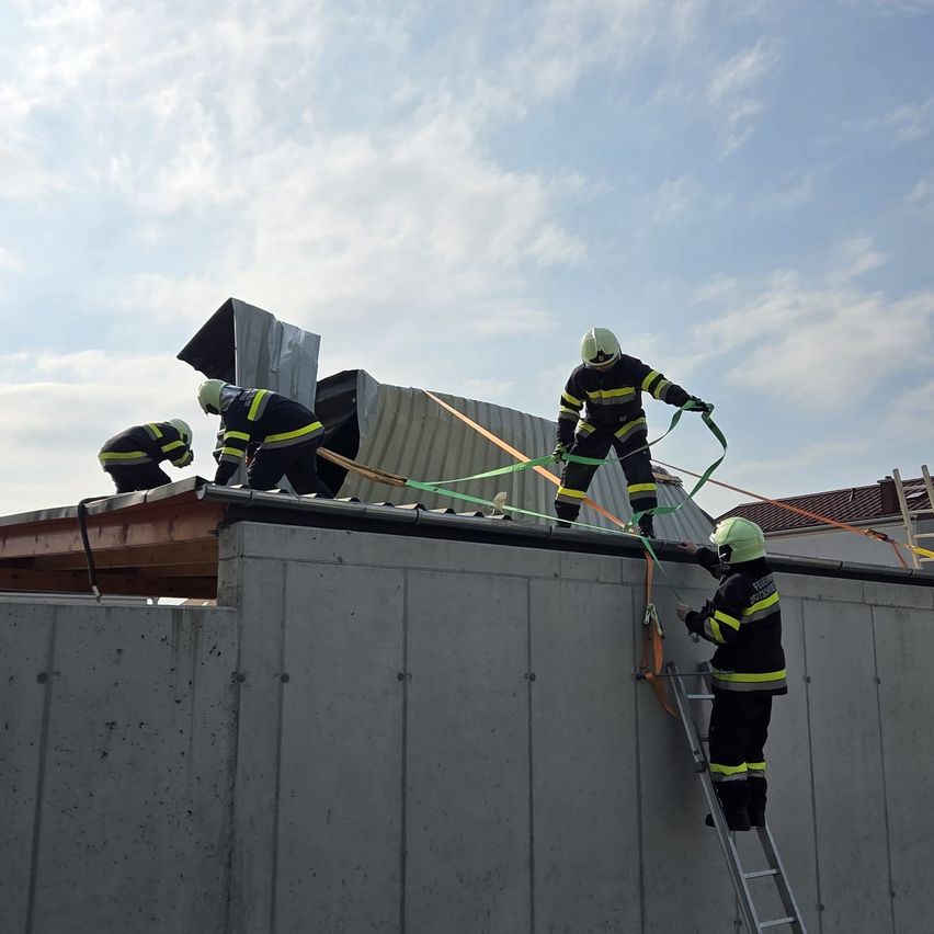 Fünf Feuerwehrleute sind auf einem Dach, zwei auf einer Leiter und drei auf dem Dach, mit Helmen und Uniformen. Sie arbeiten mit Seilen auf dem Dach.
