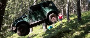 Bild enthält, Grove, Land, Tree, Vegetation, Wilderness, Woodland, Jungle, Rainforest, Grass, Shelter