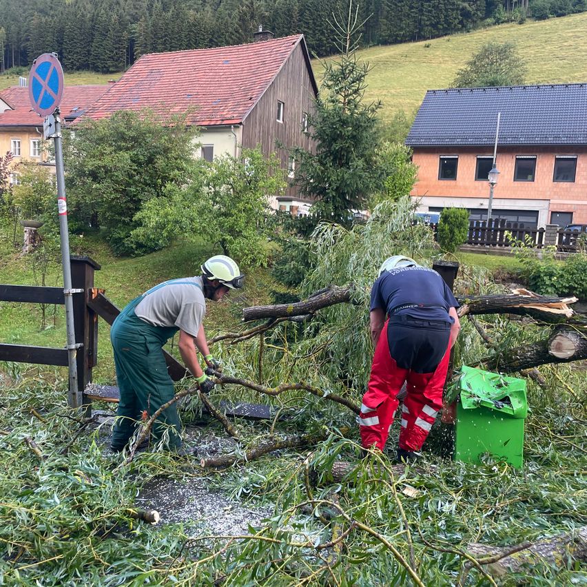 Two people in safety gear are clearing branches from a fallen tree in a rural area. Behind them, a house with a red roof and a green trash bin is visible.