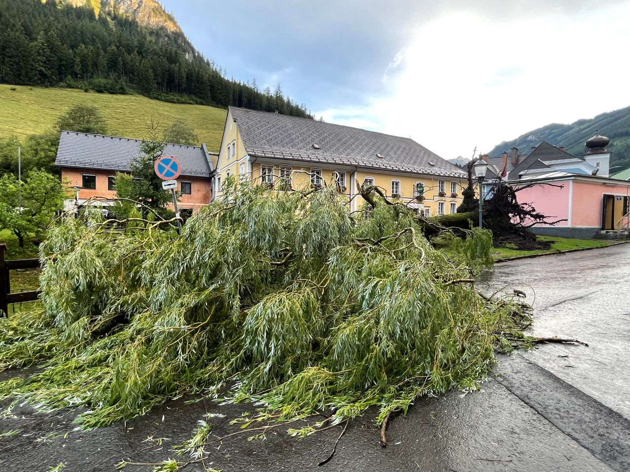A fallen tree lies on a wet road in front of a yellow house with a gray roof.