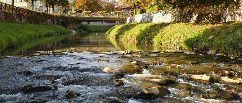 SafenbachBergmann_4158684