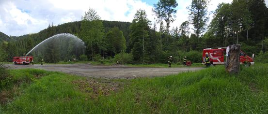 Vegetation, Person, Tree, Vehicle, Fire Truck, Truck, Grass, Outdoors, Water