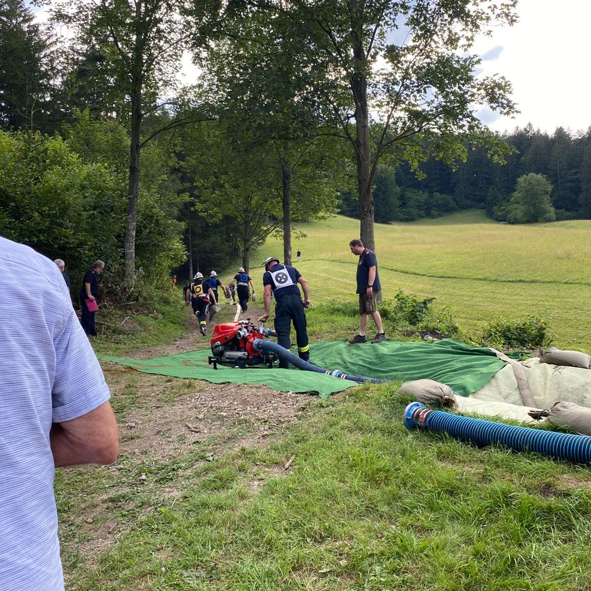 Bild enthält, Grass, Lawn, Outdoors, Park, Field, Person, Tree, Adult, Male, Man