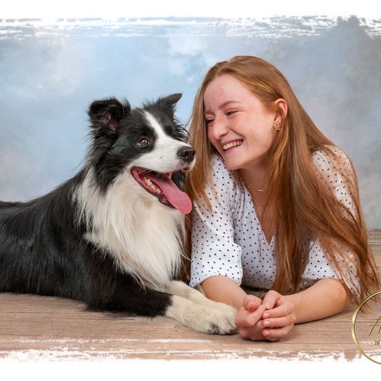 Bild enthält, Head, Person, Photography, Portrait, Animal, Canine, Dog, Mammal, Pet, Collie