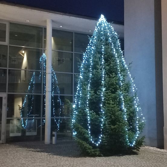 Bild enthält, Architecture, Building, Christmas, Christmas Decorations, Festival, Christmas Tree, Plant, Tree