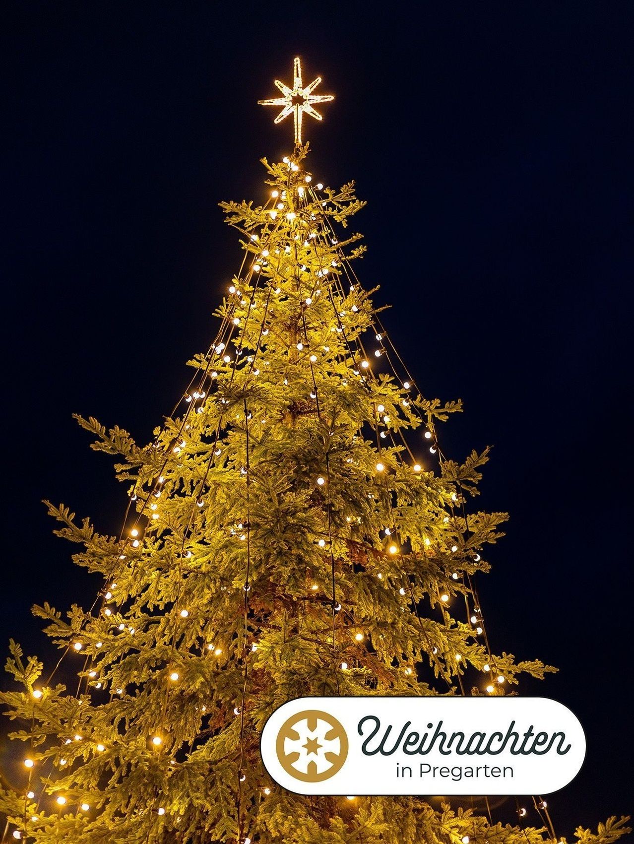 Ein hoher Weihnachtsbaum, geschmückt mit goldenen Lichtern, steht im Dunkeln und wird gegen den dunklen Himmel beleuchtet. Oben befindet sich ein goldener Stern. Der Baum ist von einem Logo mit den Worten 'Weihnachten' in Schwarz umgeben.