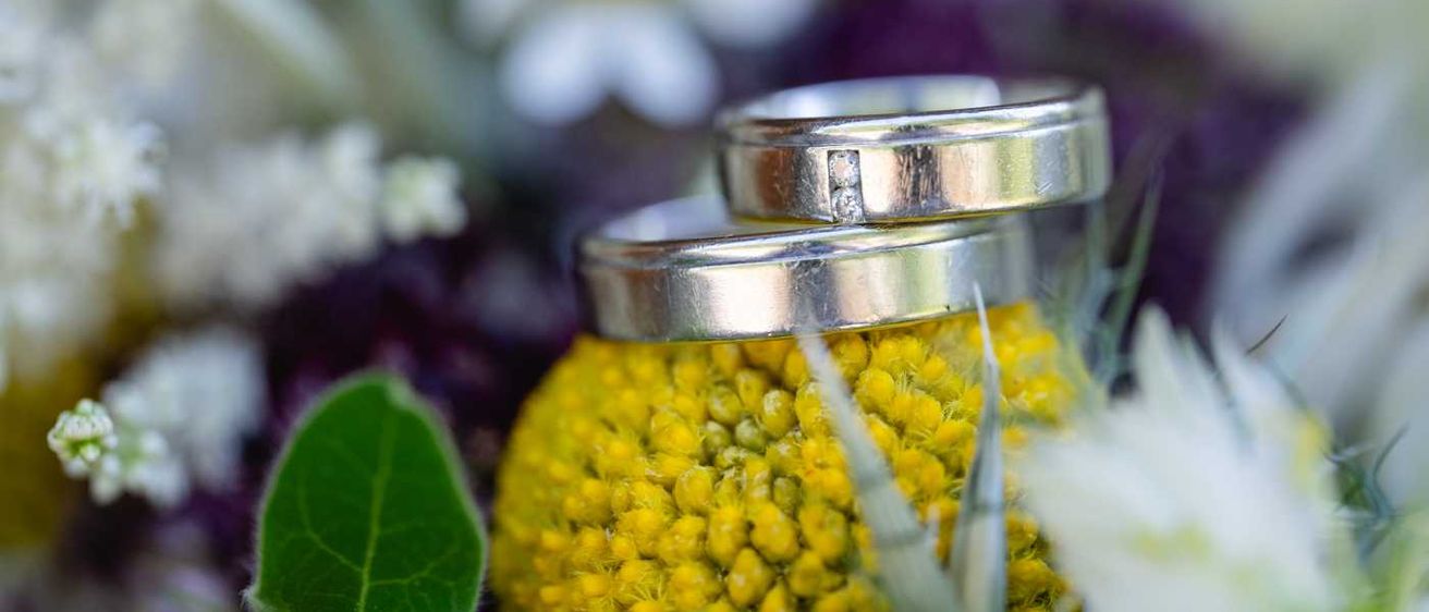 Bild enthält, Accessories, Jewelry, Ring, Plant, Flower