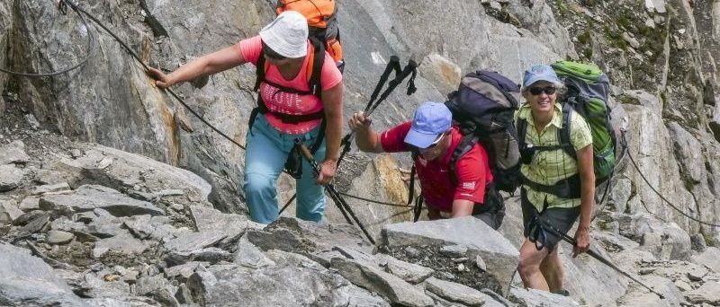 v1_migrated_image_13653725