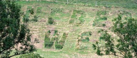 Ein grasbewachsenes Feld mit einem großen Buchstaben 'W' in der Mitte, umgeben von Bäumen und einem Zaun. Das Bild hat ein Wasserzeichen mit dem Datum 26.09.2026 und der Zeit 17:00.
