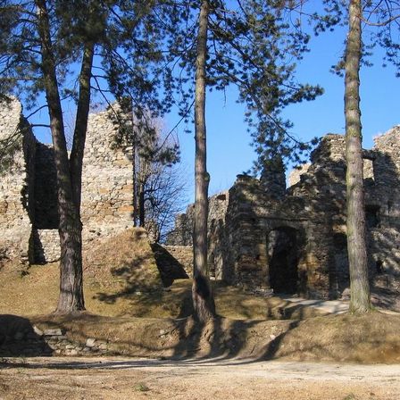 Bild enthält, Architecture, Building, Ruins, Rock, Plant, Vegetation, Castle, Fortress, Tree