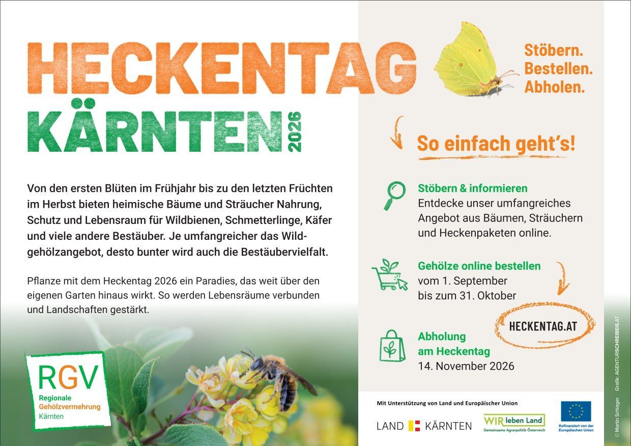 Plakat für Heckentag 2026 in Österreich, mit einer Libelle, einer Biene und einem Baum mit Blumen. Das Plakat betont die Bedeutung von Hecken für die Tierwelt und bietet Informationen zur Teilnahme.