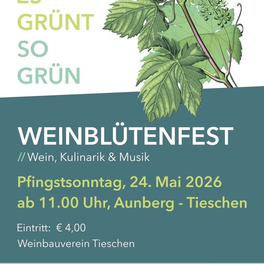 Plakat für das Weinblütenfest. Veranstaltung mit Wein, Kulinarik und Musik. Datum: 24. Mai 2026, Beginn um 11:00 Uhr. Ort: Aunberg - Tieschen. Eintritt: 4 Euro. Ausrichter: Weinbauverein Tieschen.