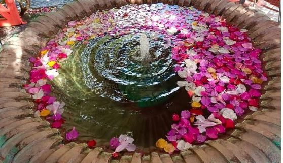 Ein dekorativer Brunnen gefüllt mit klarem Wasser und umgeben von bunten Blütenblättern, möglicherweise für dekorative oder religiöse Zwecke verwendet.