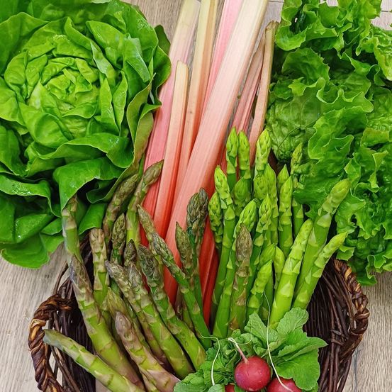 Ein Korb mit frischen Produkten enthält Spargel, Radieschen und Salat auf einer Holzoberfläche.
