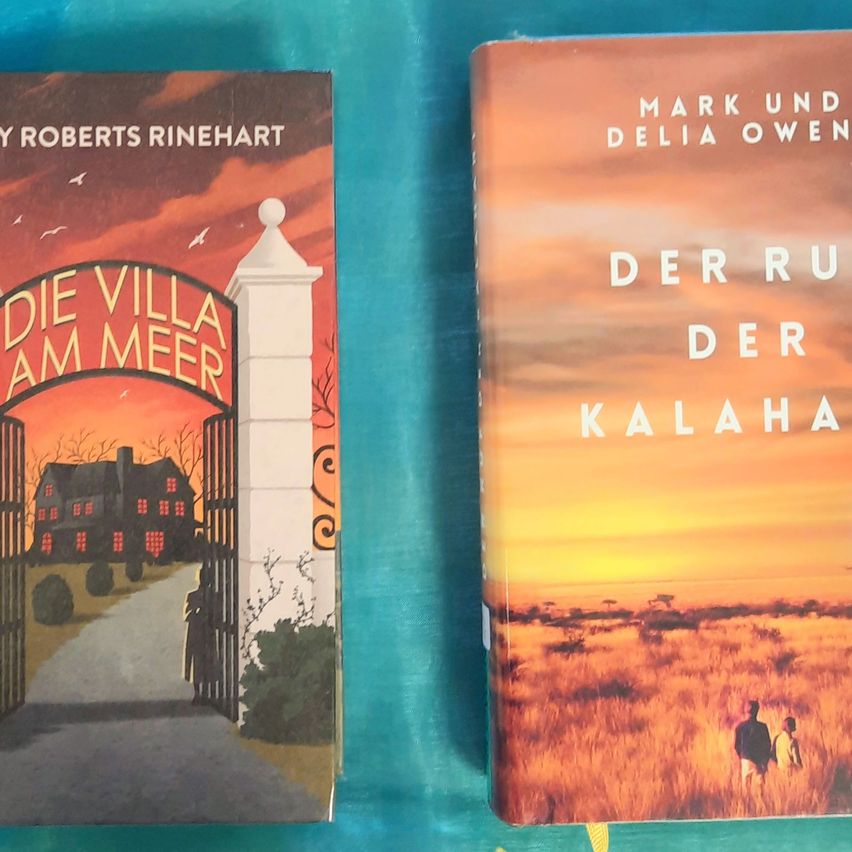 Two books are placed side by side on a blue background. The left book features a house with a gate and the title 'Die Villa am Meer'. The right book shows a sunset over a field with the title 'Der Ruf der Kalahari'.
