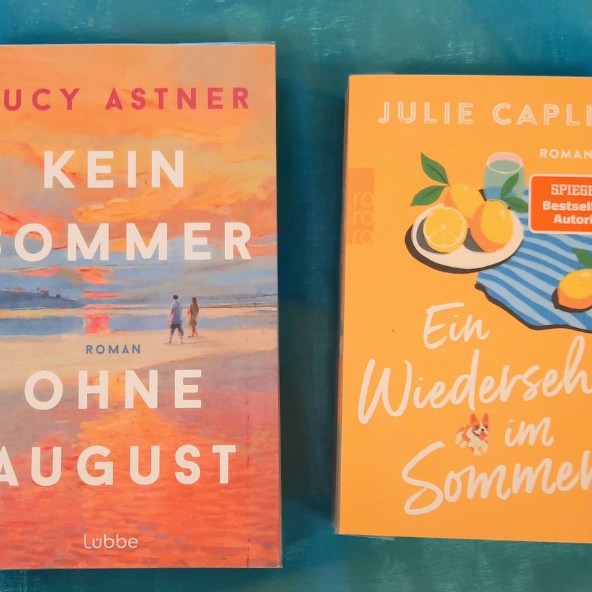 Two books are displayed side by side. The left book has a sunset scene with two people walking on the beach. The right book features a plate of oranges and a dog on a blanket.