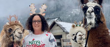 Eine Frau steht im Schnee mit drei Alpakas, von denen zwei Rentierkopfbänder tragen, vor einem verschneiten Berg.