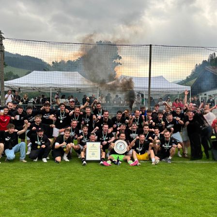 Bild enthält, Grass, People, Person, Park, Shelter, College, Adult, Male, Man, Lawn