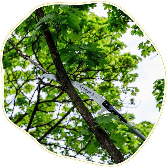 A person is using a long-handled pruning saw to cut a branch from a tree, surrounded by lush green leaves.