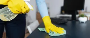 Cleaning, Person, Indoors, Interior Design, Glove, Adult, Male, Man, Plant, Monitor