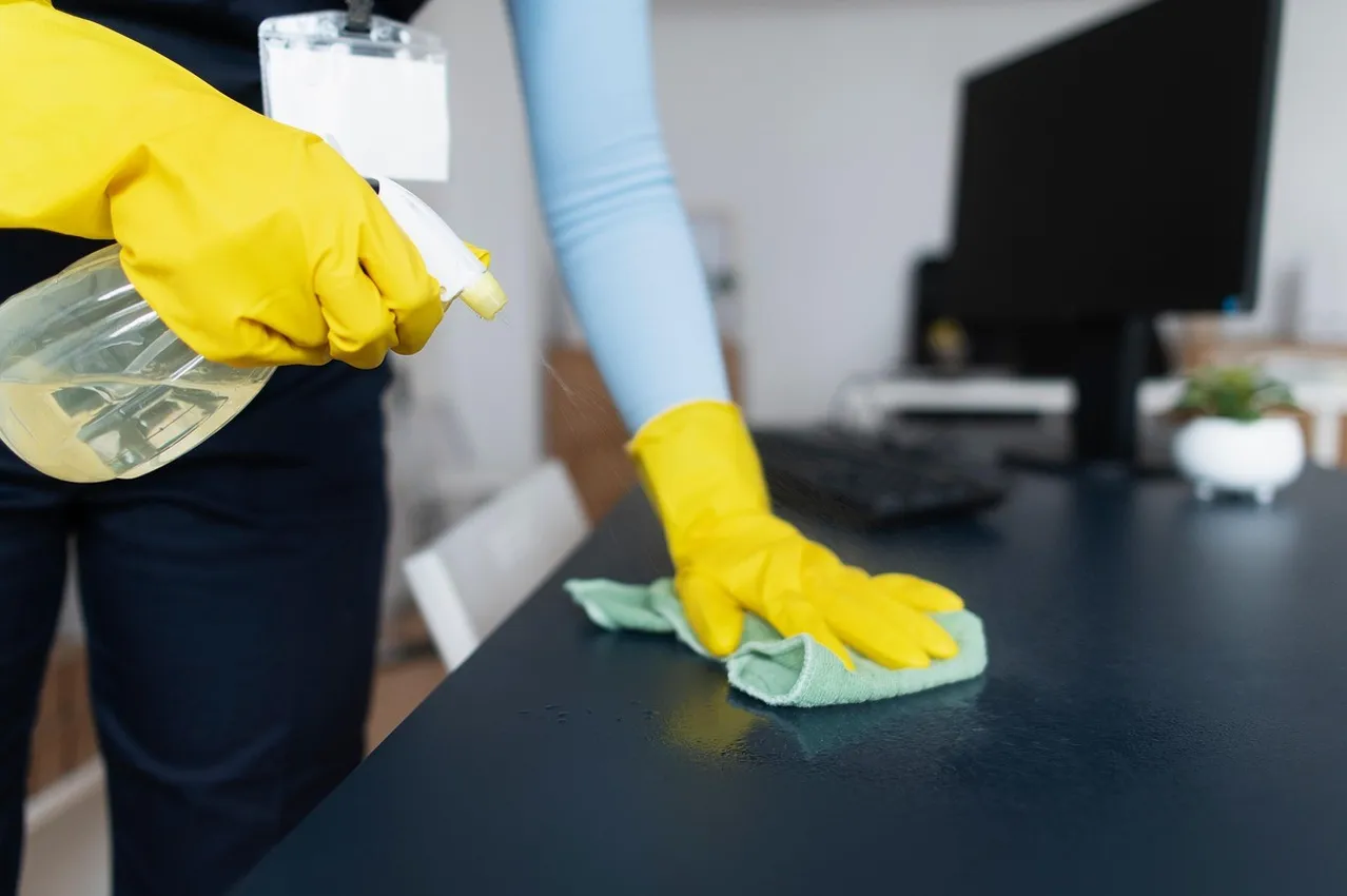 Cleaning, Person, Indoors, Interior Design, Glove, Adult, Male, Man, Plant, Monitor