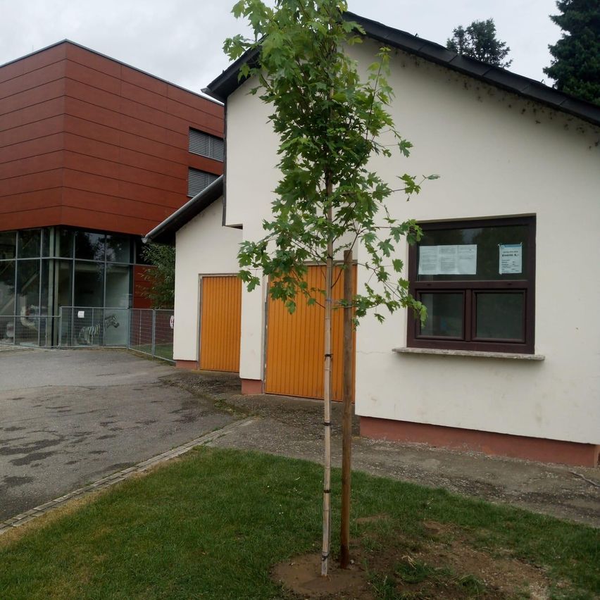 Ein weißes Gebäude mit zwei orangefarbenen Türen und einem kleinen Baum davor. Ein modernes Gebäude mit Glaswänden befindet sich auf der linken Seite.