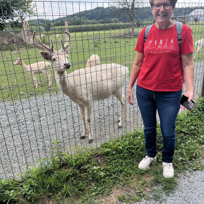 Eine Frau mit einem roten T-Shirt und einem Rucksack steht neben einem Zaun und lächelt ein weißes Reh mit großen Geweihen an. Hinter dem Zaun befinden sich weitere Rehe in einem Grasfeld.