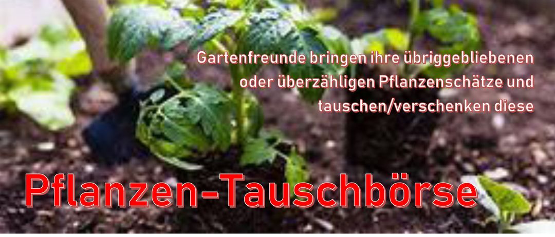 Plakat, das einen Pflanzenaustauschmarkt am 3. Mai 2025 von 9 bis 11 Uhr auf dem Dorfplatz Matzleinsdorf ankündigt. Bilder von Topfpflanzen sind enthalten.