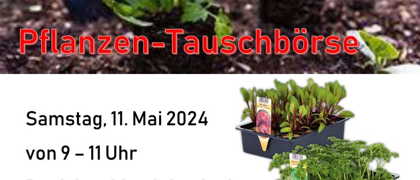 Bild enthält, Herbal, Herbs, Plant, Garden, Nature, Outdoors, Potted Plant, Gardening, Jar, Planter